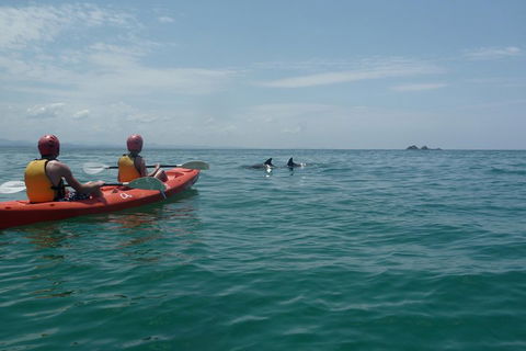 Kayaking With Dolphins In Byron Bay Guided Tour - Attractions Perth 4