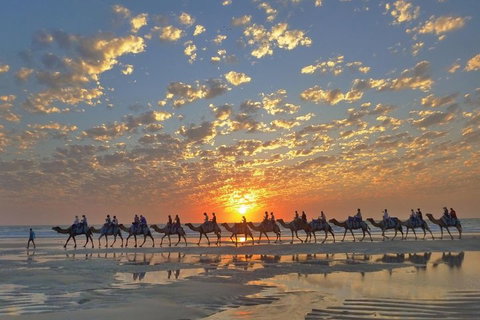 Broome City Sightseeing Tour With Optional Camel Ride - Attractions Perth 1