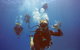 12-Day Great Barrier Reef Marine Conservation Program From Cairns - thumb 0