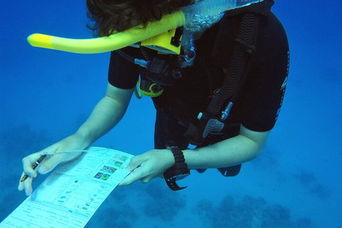 12-Day Great Barrier Reef Marine Conservation Program From Cairns - Attractions Perth 2