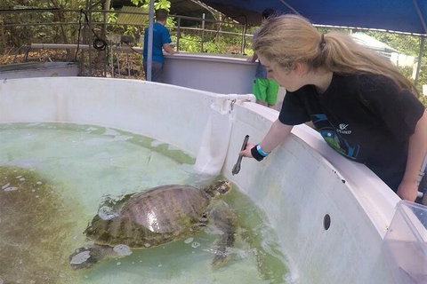 12-Day Great Barrier Reef Marine Conservation Program From Cairns - Attractions Perth 4