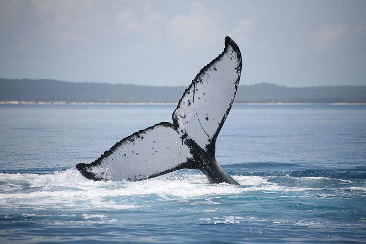  Attractions Perth