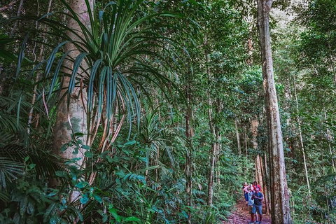 Atherton Tablelands Rain Forest By Night From Cairns - Attractions Perth 0