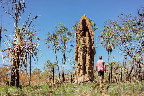 Litchfield National Park Waterfalls And Wildlife Tour From Darwin - Attractions Perth 4