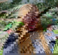 Great Ocean Road Reverse Itinerary with 12 Apostles from Melbourne - Attractions Perth