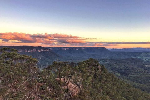 Blue Mountains Sunset Tour | Kangaroos & Koala Encounter (Private Tour) - Attractions Perth 0