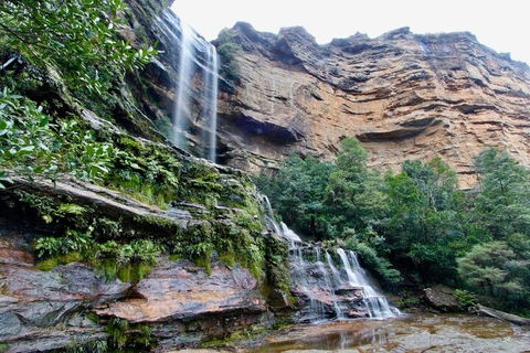 Blue Mountains Sunset Tour | Kangaroos & Koala Encounter (Private Tour) - Attractions Perth 2