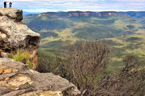 Blue Mountains Sunset Tour | Kangaroos & Koala Encounter (Private Tour) - Attractions Perth 4