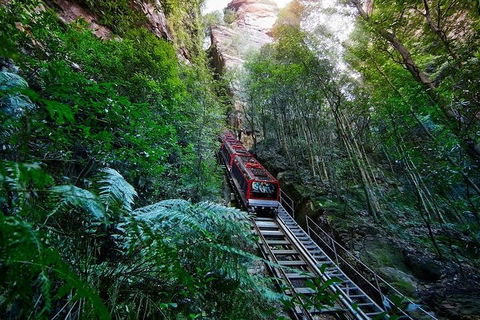 Blue Mountains Private Tour With Kangaroos & Koala Encounter - Attractions Perth 1