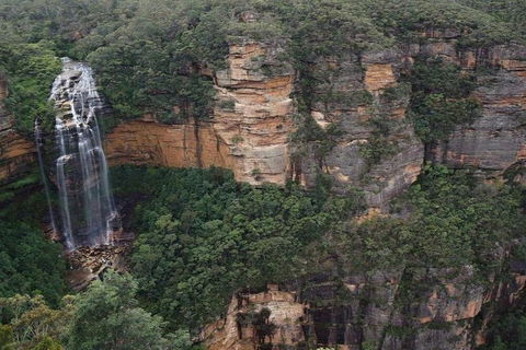Blue Mountains Private Tour With Kangaroos & Koala Encounter - Attractions Perth 2