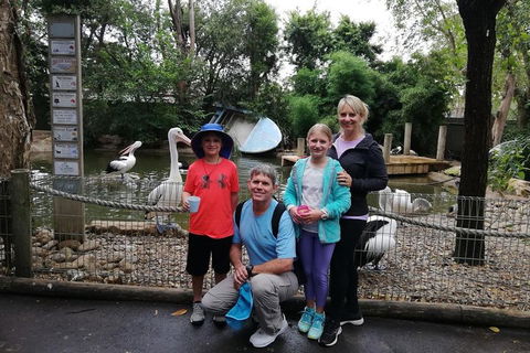 Blue Mountains Private Tour With Kangaroos & Koala Encounter - Attractions Perth 4