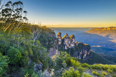 Blue Mountains Private Tour With Kangaroos & Koala Encounter - Attractions Perth 5
