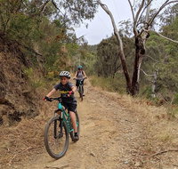 Mount Lofty Descent Bike Tour from Adelaide - Attractions Perth