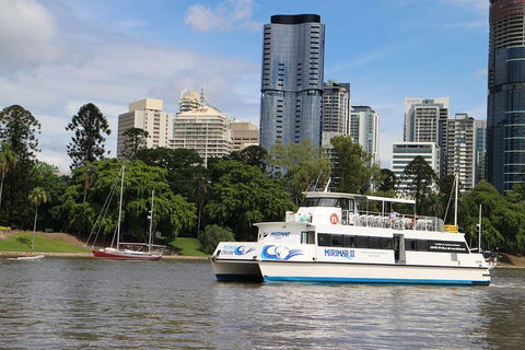 Lone Pine Koala Sanctuary Admission With Brisbane River Cruise - Attractions Perth 2