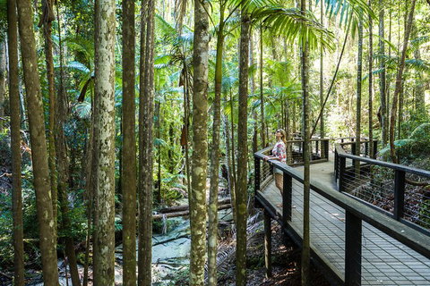 All-Inclusive Fraser Island Day Tour - Attractions Perth 5