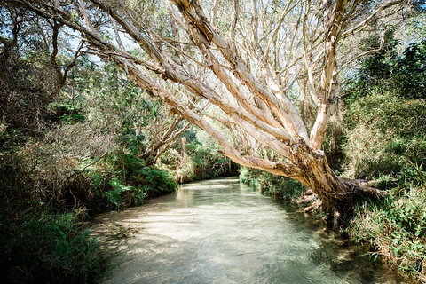 3-Day Fraser Island Resort Package - Attractions Perth 5