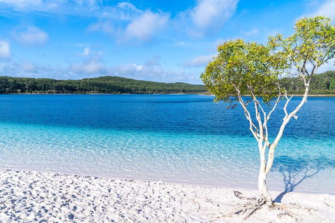 Lake McKenzie Full-Day Tour With Lunch From Hervey Bay - Attractions Perth 1