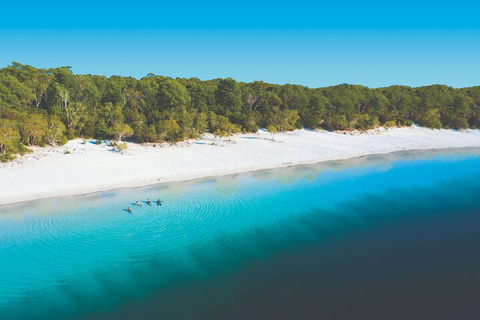 Lake McKenzie Full-Day Tour With Lunch From Hervey Bay - Attractions Perth 4