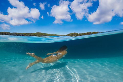 Lake McKenzie Full-Day Tour With Lunch From Hervey Bay - Attractions Perth 5