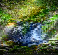 Day Tour in Mt. Field Mt. Wellington Bonorong Wildlife Sanctuary and Richmond - Attractions Perth