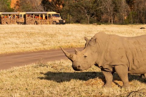 Sunset Safari At Werribee Open Range Zoo - Attractions Perth 1