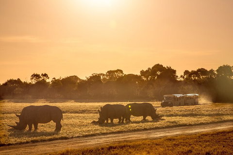 Sunset Safari At Werribee Open Range Zoo - Attractions Perth 2