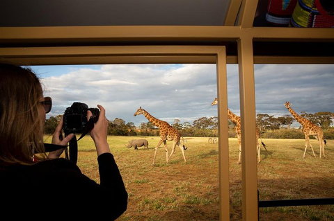 Sunset Safari At Werribee Open Range Zoo - Attractions Perth 4