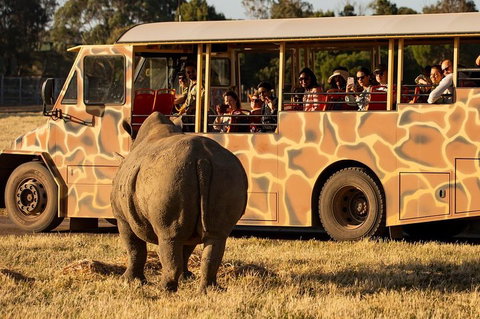 Sunset Safari At Werribee Open Range Zoo - Attractions Perth 5
