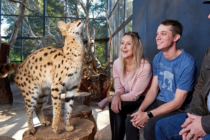 Attractions Perth