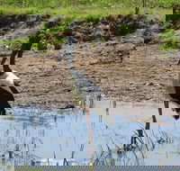 Darwin to Kakadu Day Trip by Air Including Yellow Water Cruise - Attractions Perth