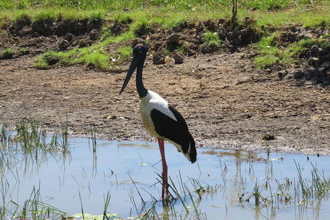 Darwin To Kakadu Day Trip By Air Including Yellow Water Cruise - Attractions Perth 0