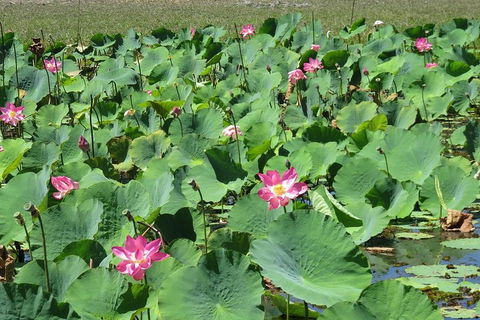 Darwin To Kakadu Day Trip By Air Including Yellow Water Cruise - Attractions Perth 2
