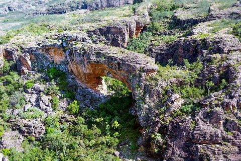 Darwin To Kakadu Day Trip By Air Including Yellow Water Cruise - Attractions Perth 4