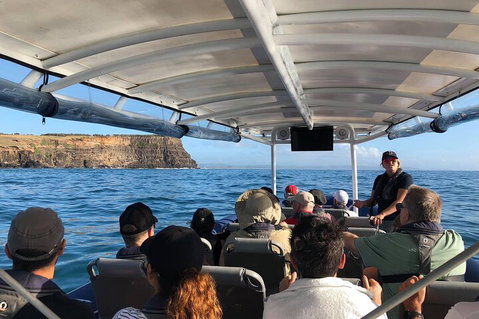 Julian Rocks Byron Bay Cruise - Attractions Perth 4
