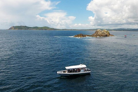 Julian Rocks Byron Bay Cruise - Attractions Perth 5