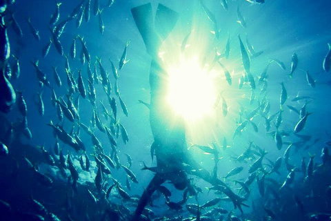 2-Day Whitsundays Sailing Adventure: SV Whitehaven - Attractions Perth 1
