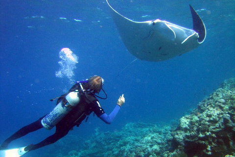3 Day Whitsundays Sailing And Diving Adventure: Kiana - Attractions Perth 3