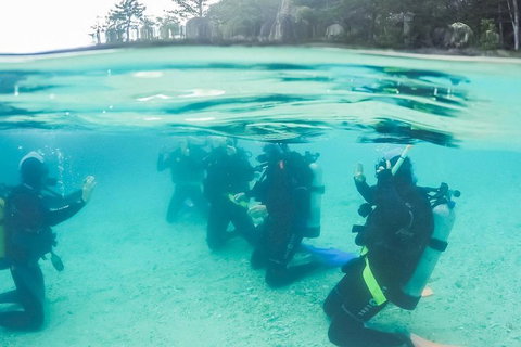 3 Day Whitsundays Sailing And Diving Adventure: Kiana - Attractions Perth 4
