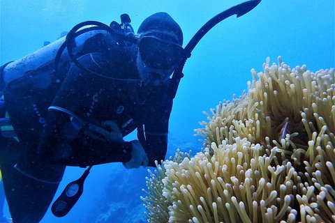 3 Day Whitsundays Sailing And Diving Adventure: Kiana - Attractions Perth 5