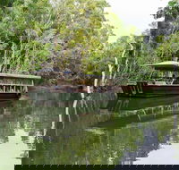 Hartley's Crocodile Adventures Breakfast with the Koalas - Attractions Perth