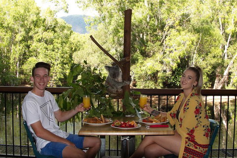 Hartley's Crocodile Adventures Breakfast With The Koalas - Attractions Perth 5