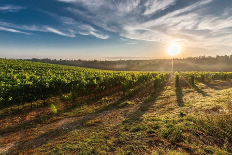 Perth To Margaret River Wine Tour - 2 Day Premium Boutique Wine Tour Experience - Attractions Perth 0