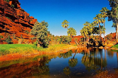 Palm Valley 4WD Day Tour - Attractions Perth 2
