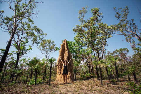 Litchfield National Park - Top End Day Tour From Darwin - Attractions Perth 5
