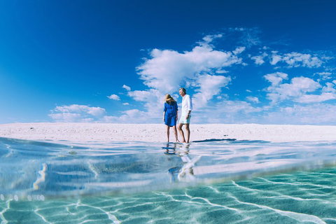 4-Day Coastal Loop Via Monkey Mia Wild Dolphins Kalbarri Pinnacles Perth Return - Attractions Perth 0