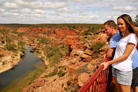 4-Day Coastal Loop Via Monkey Mia Wild Dolphins Kalbarri Pinnacles Perth Return - Attractions Perth 3