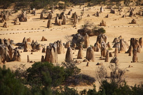 Pinnacles Sunset Dinner And Stargazing Experience A Small Group Tour - Attractions Perth 0