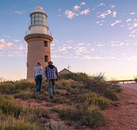 6-Day Coral Coaster from Perth to Exmouth One-Way via Monkey Mia Ningaloo Reef - Attractions Perth