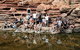 6-Day Coral Coaster From Perth To Exmouth One-Way Via Monkey Mia Ningaloo Reef - thumb 2