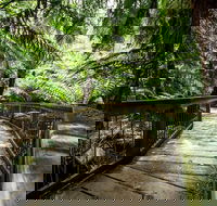 12 Apostles Eco-Friendly Great Ocean Road Iconic Adventure from Melbourne - Attractions Perth